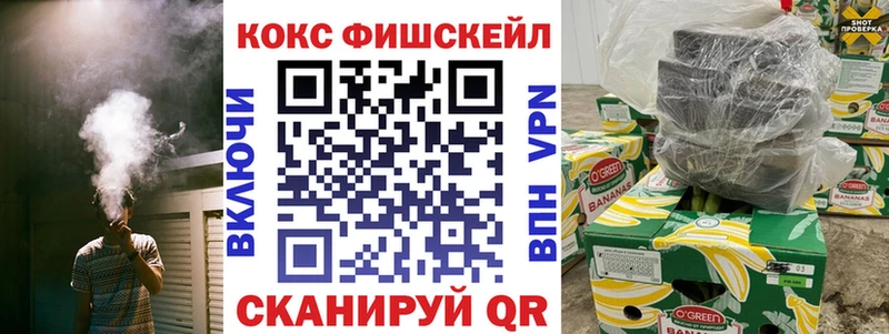 COCAIN Fish Scale  купить  сайты  Зубцов 
