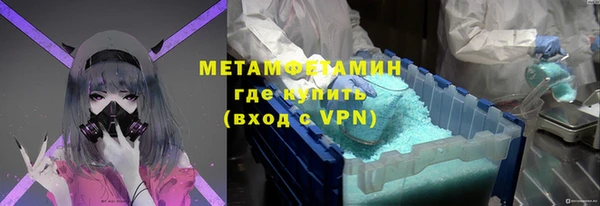 прущие грибы Вязники