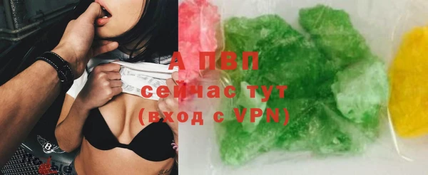 прущие грибы Вязники