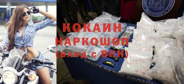 прущие грибы Вязники