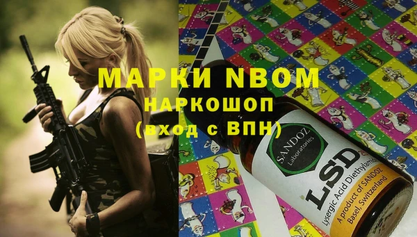 прущие грибы Вязники