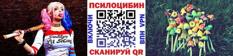 Псилоцибиновые грибы Cubensis  Зубцов 